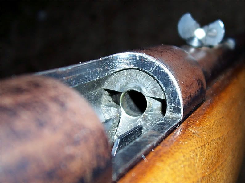Dry Firing Myths The Firing Line Forums